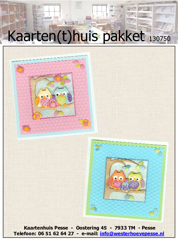 2 kaarten met uiltjes
- pakket nr:  130750
- papier voorgesneden 
- plaatjes zelf knippen
- prijs:   &euro; 3,50